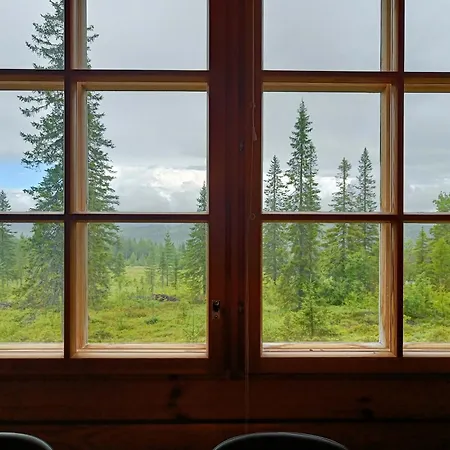 Tunturihelmi * Syöte