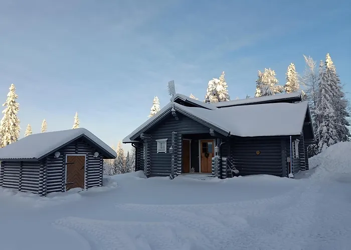 Tunturihelmi Dağ evi